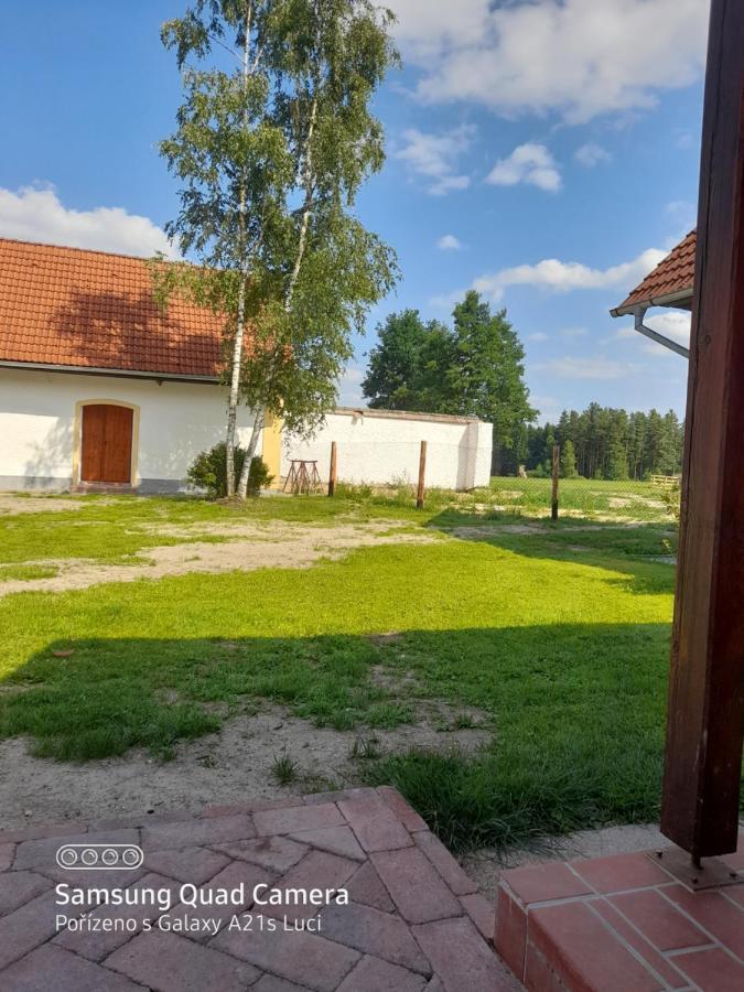 Apartamento Kojan Jílovice Exterior foto